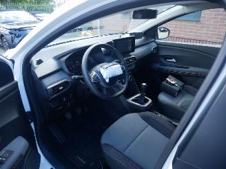 Dacia Sandero STEPWAY picture 10