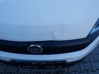 Fiat Doblo  picture 7