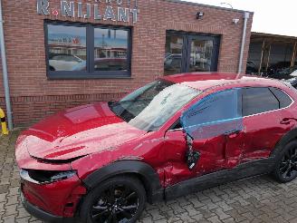 Mazda CX-30 NAGISA LED 2WD picture 7