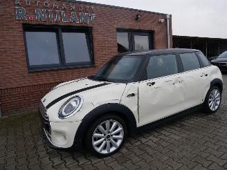 Unfallwagen Mini Cooper CHILI LEER PANORAMADAK 2018/7