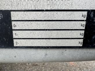 Cheval Liberte  2 paards picture 10