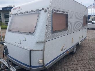 Dethleffs  Family 460 Mover Luifel picture 2