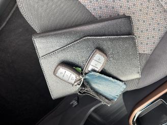 Hyundai Ioniq EV  Clima - Navi picture 22