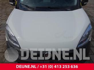 Fiat Doblo Doblo Cargo (263), Van, 2010 1.3 D Multijet picture 35