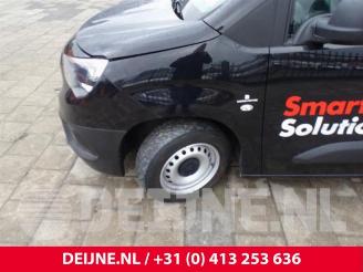 Opel Combo Combo Cargo, Van, 2018 1.6 CDTI 75 picture 11