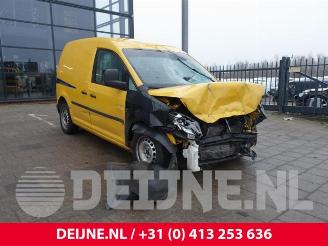 Auto da rottamare Volkswagen Caddy Caddy III (2KA,2KH,2CA,2CH), Van, 2004 / 2015 1.6 TDI 16V 2013/1