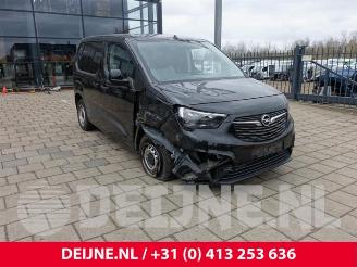 Opel Combo Combo Cargo, Van, 2018 1.5 CDTI 75 picture 1
