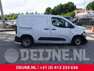 Opel Combo Combo Cargo, Van, 2018 1.5 CDTI 100 picture 8