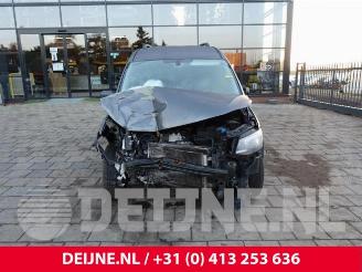 Volkswagen Caddy Caddy IV, Van, 2015 2.0 TDI 102 picture 2