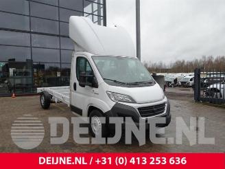 Uttjänta bilar auto Fiat Ducato Ducato (250), Ch.Cab/Pick-up, 2006 2.3 D 180 Multijet 2019/3