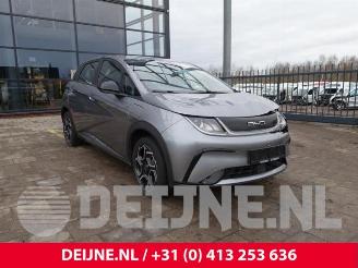 Vrakbiler auto BYD Dolphin Dolphin, Hatchback 5-drs, 2021 60,4 kWh 2024/7