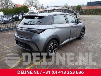 BYD Dolphin Dolphin, Hatchback 5-drs, 2021 60,4 kWh picture 7