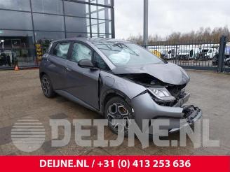 Vrakbiler auto BYD Dolphin Dolphin, Hatchback 5-drs, 2021 60,4 kWh 2024/3