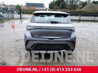 BYD Dolphin Dolphin, Hatchback 5-drs, 2021 60,4 kWh picture 6