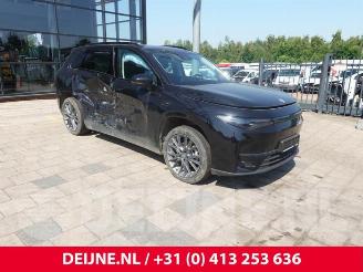 Dezmembrări autoturisme Leapmotor C10 C10, SUV, 2020 69.9 kWh 2025/4