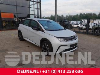 Uttjänta bilar auto BYD Dolphin Dolphin, Hatchback 5-drs, 2021 60,4 kWh 2024/4