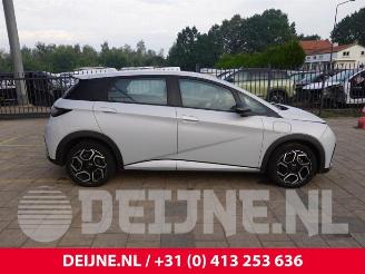 BYD Dolphin Dolphin, Hatchback 5-drs, 2021 60,4 kWh picture 8