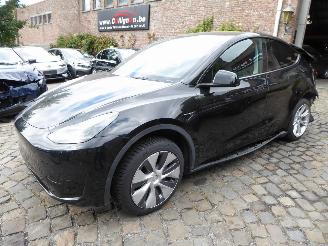 Unfallwagen Tesla Model Y  2024/1