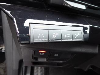 Renault Austral Iconic picture 17