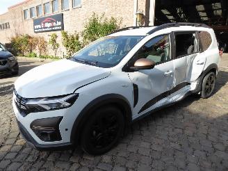 Auto incidentate Dacia Jogger Extreme 2024/6