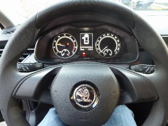 Skoda Kamiq  picture 12