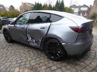 Tesla Model Y Long Range Dual AWD picture 7