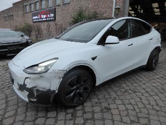 uszkodzony samochody osobowe Tesla Model Y Long Range RWD 2024/10