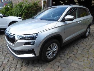 Auto incidentate Skoda Karoq Ambition 2024/8