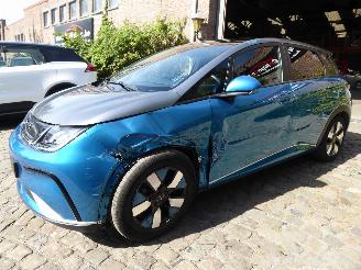 krockskadad bil auto BYD Dolphin  2024/9