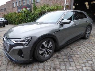  Audi Q8 e-tron 50 quattro advanced 2024/8