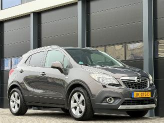 Opel Mokka 1.6 CDTi Xenon Navi Camera Euro-6 picture 2