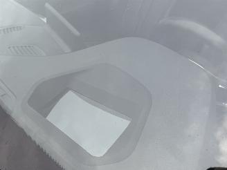 BMW 5-serie 520d Sport Line Hade-Up Camera Memory picture 11