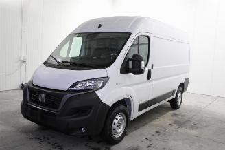 Purkuautot passenger cars Fiat Ducato  
