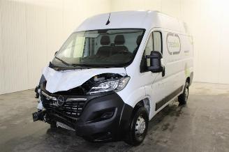 Auto incidentate Opel Movano  2023/6