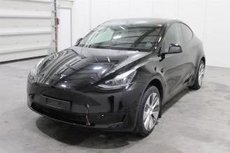 skadebil auto Tesla Model Y  2024/8