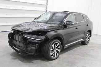 Avarii autoturisme BYD SEAL  2024/6
