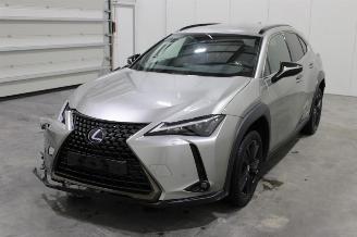 damaged passenger cars Lexus UX  2021/5