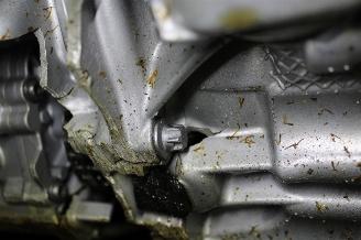 BMW X1  picture 19
