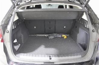 BMW X1  picture 22
