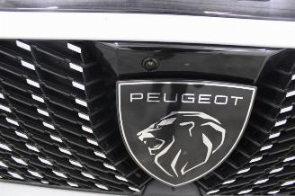 Peugeot 3008  picture 19