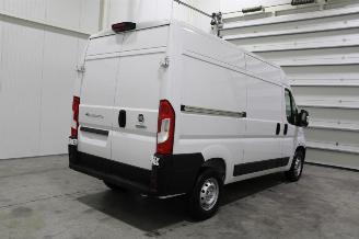 Fiat Ducato  picture 3