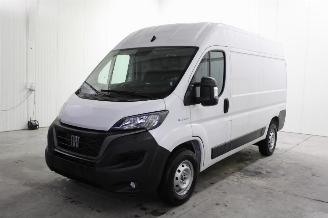 Vrakbiler auto Fiat Ducato  2023/1