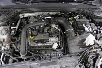 Volkswagen Golf  picture 14