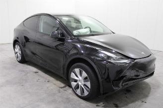 Tesla Model Y  picture 2