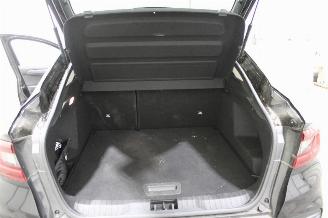 Renault Arkana  picture 19