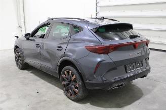 Cupra Formentor  picture 4