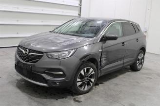 Vaurioauto  passenger cars Opel Grandland X 2019/7