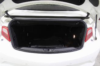 Opel Cascada  picture 18