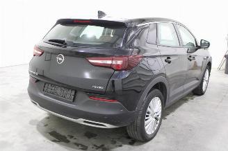 Opel Grandland X picture 3
