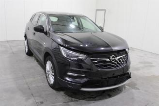 Opel Grandland X picture 2